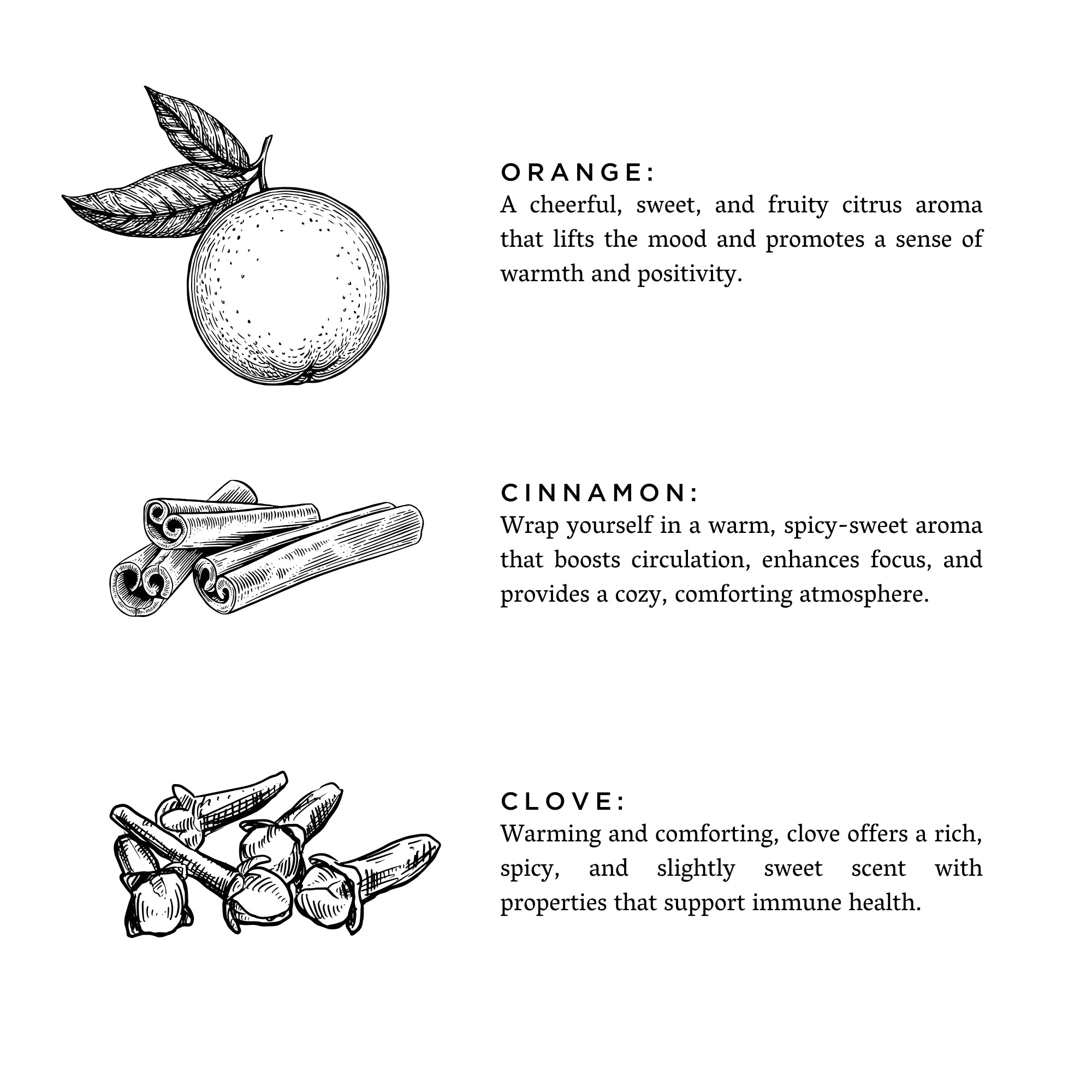 Orange + Clove - Signature 3-Wick Candle